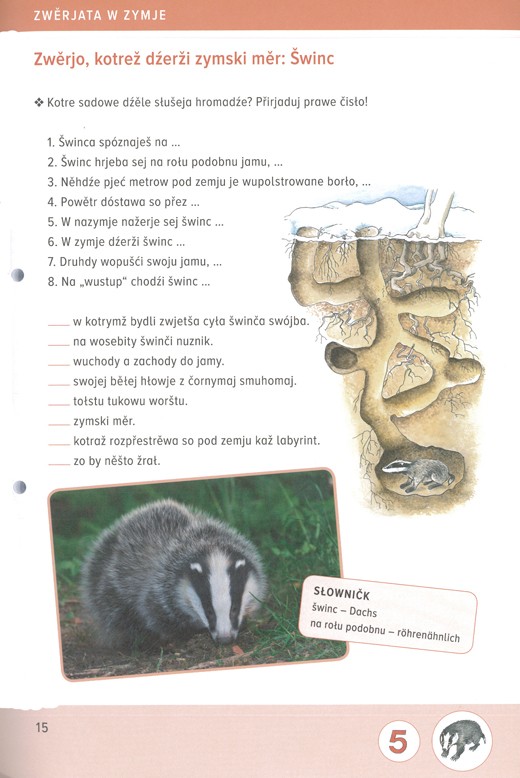 Zwěrjata w zymje