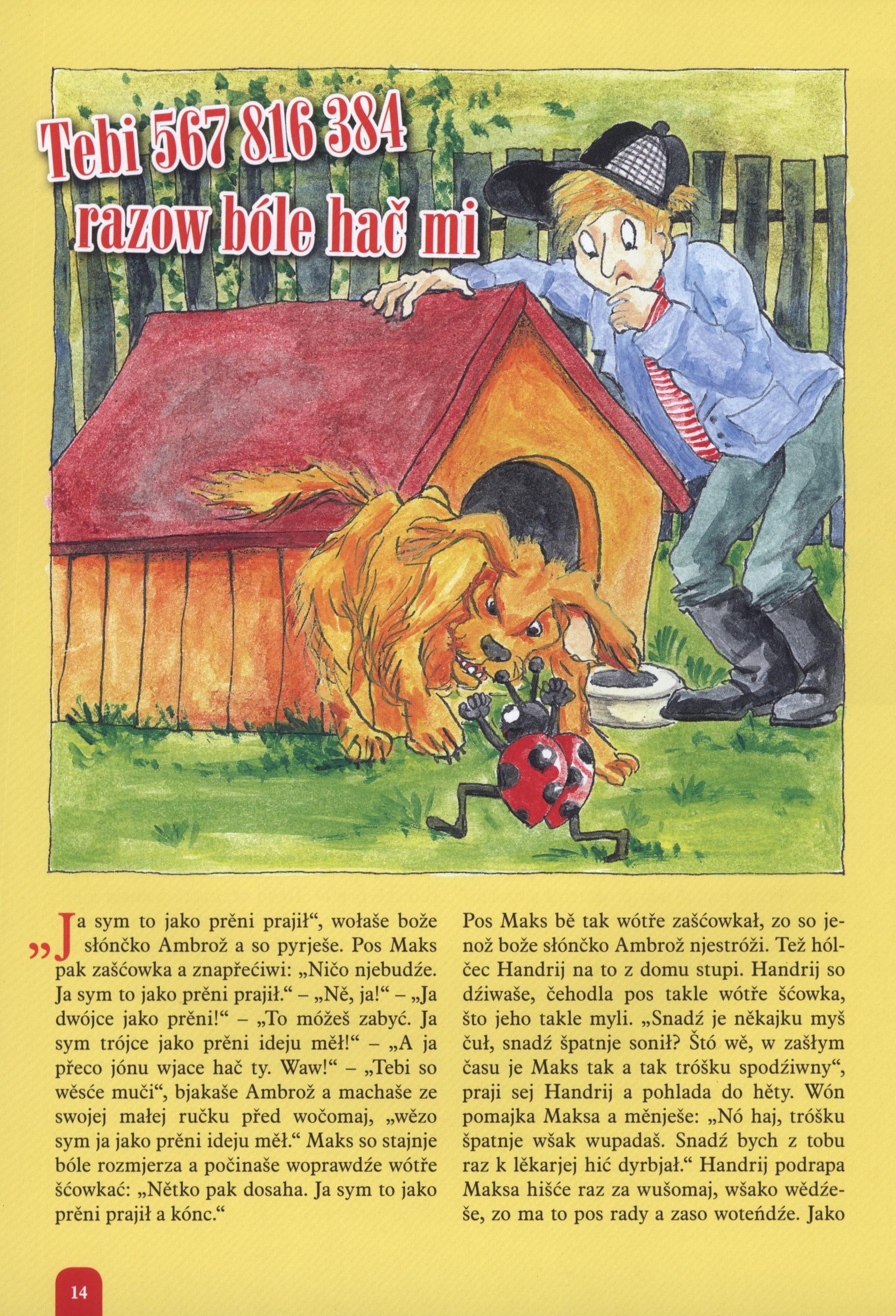 Maks a Ambrož • Płomjo-edicija