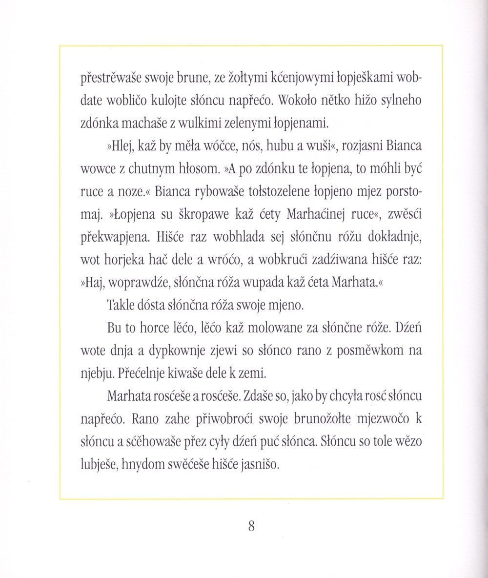 Słónčna róža Marhata