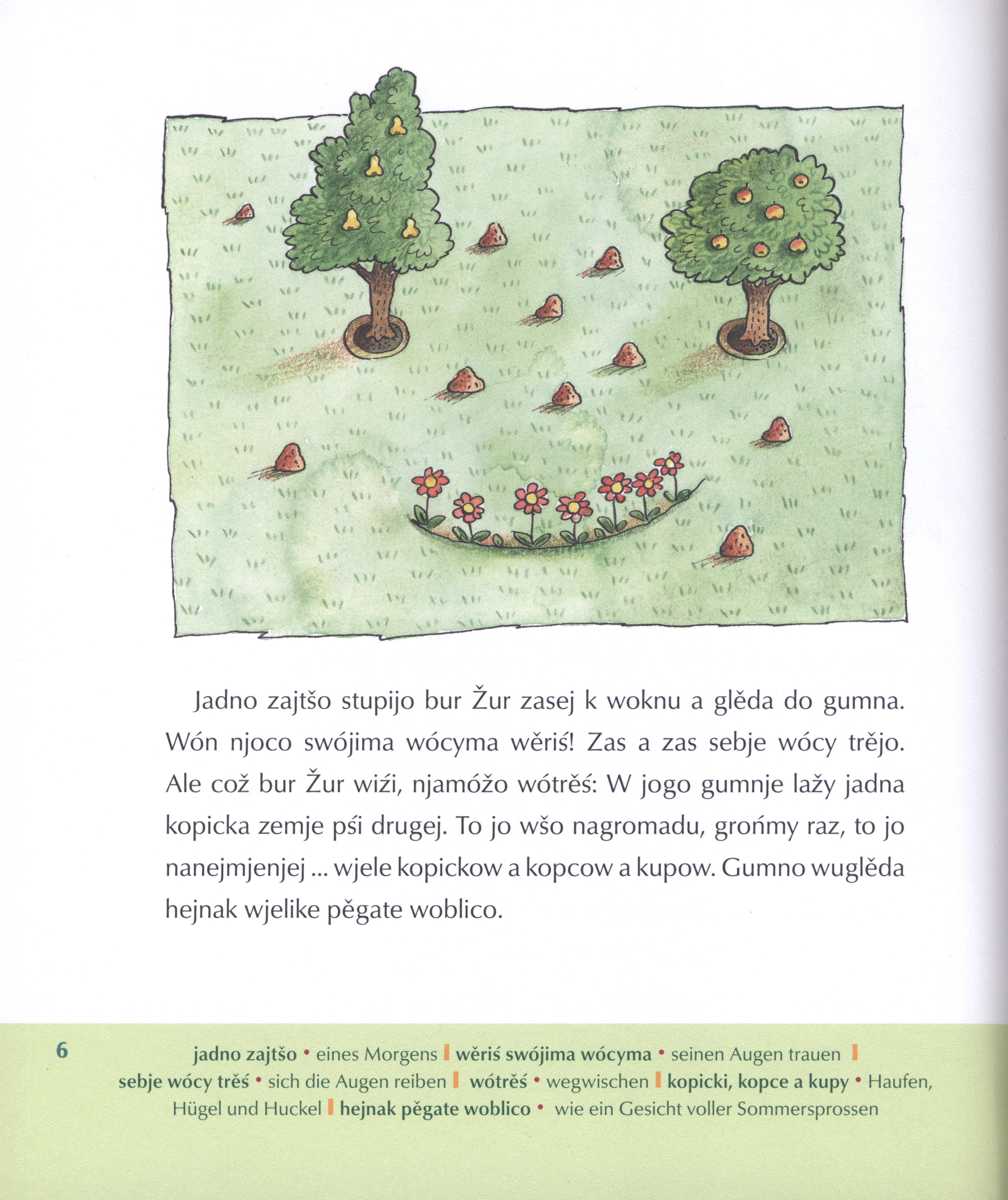 Kšet Knut a bur Žur