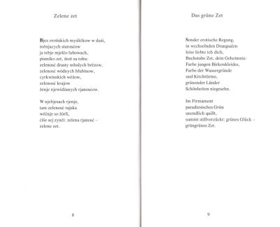 Die Erde aus dem Traum