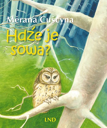 Hdźe je sowa?