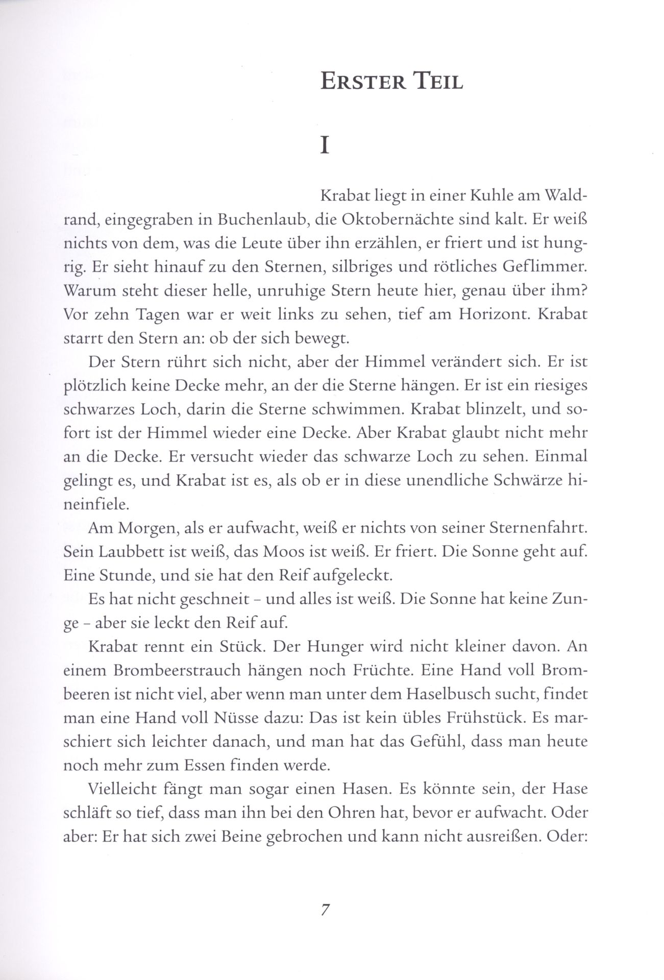 Die Schwarze Mühle