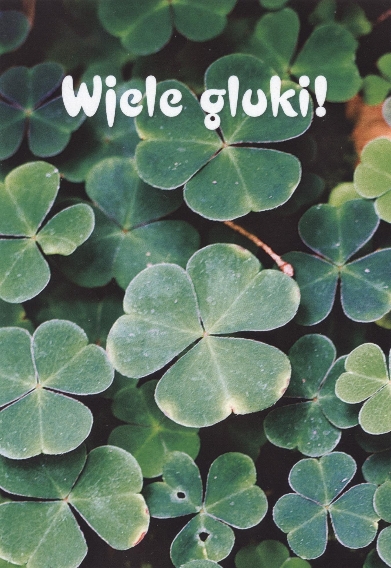 Glukužyceńska kórta • Wjele gluki!
