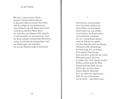 Die Erde aus dem Traum