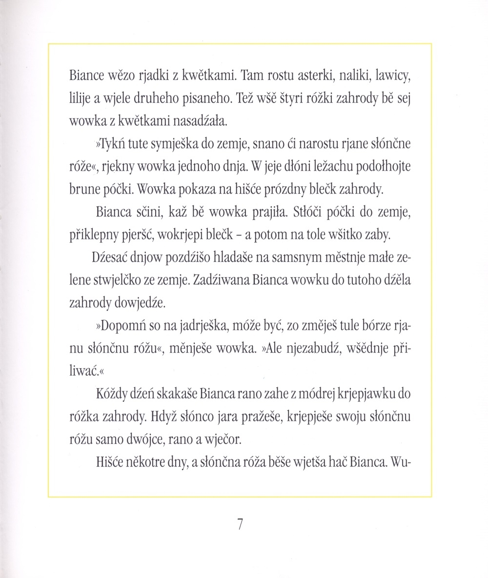 Słónčna róža Marhata