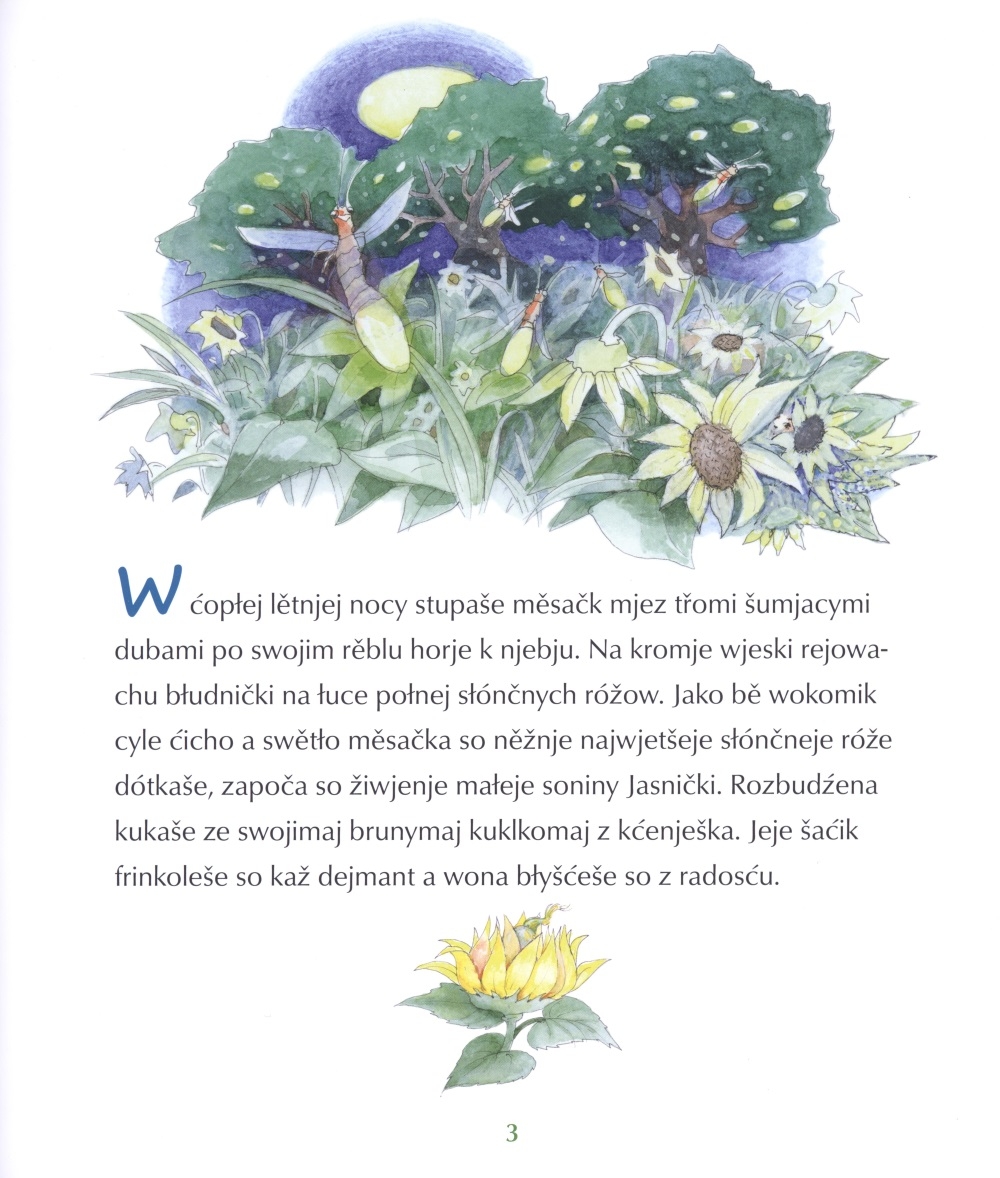 Kuzło dejmantneje soniny