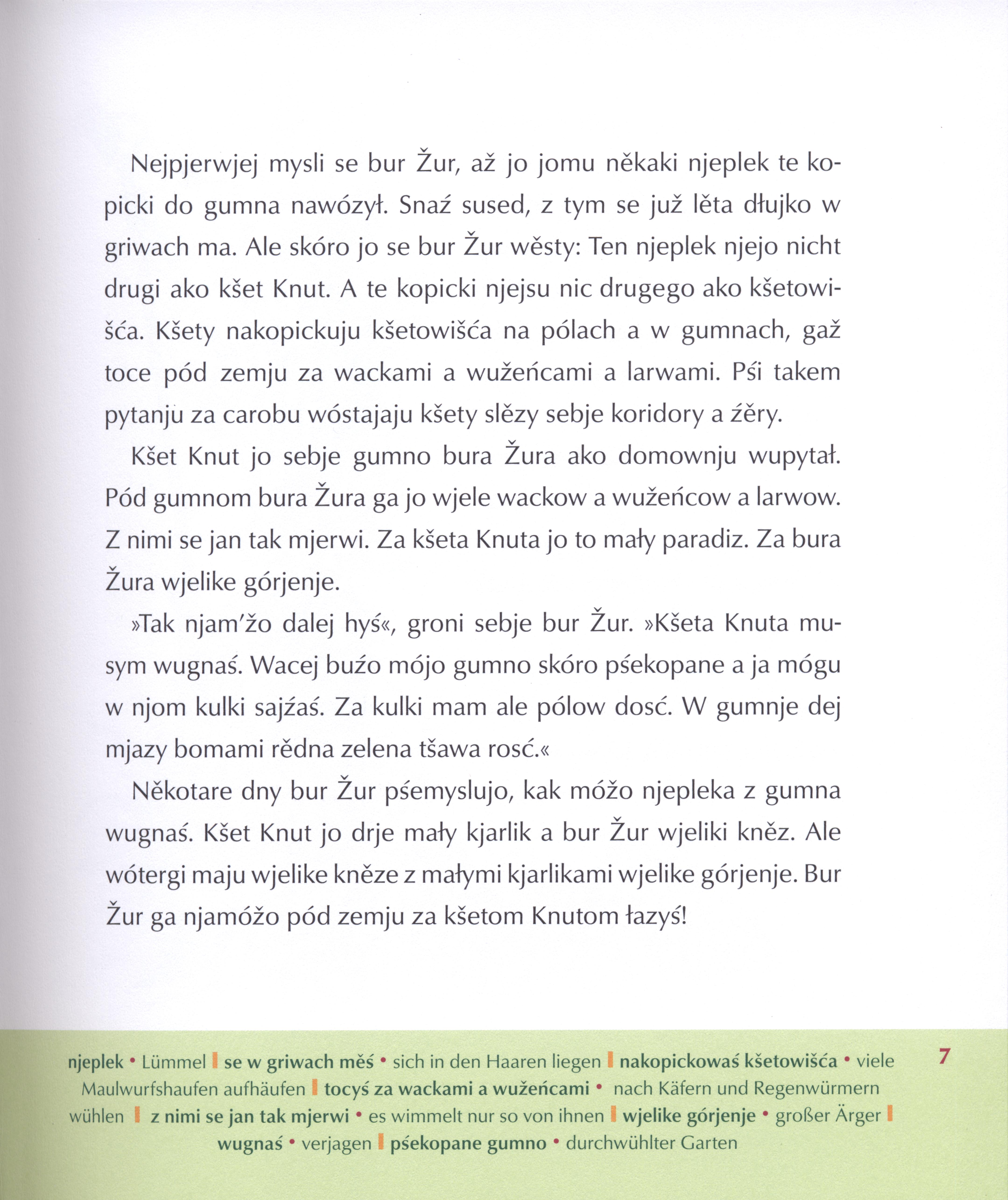 Kšet Knut a bur Žur